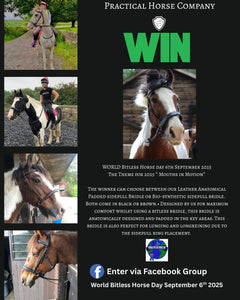 World Bitless Horse Day