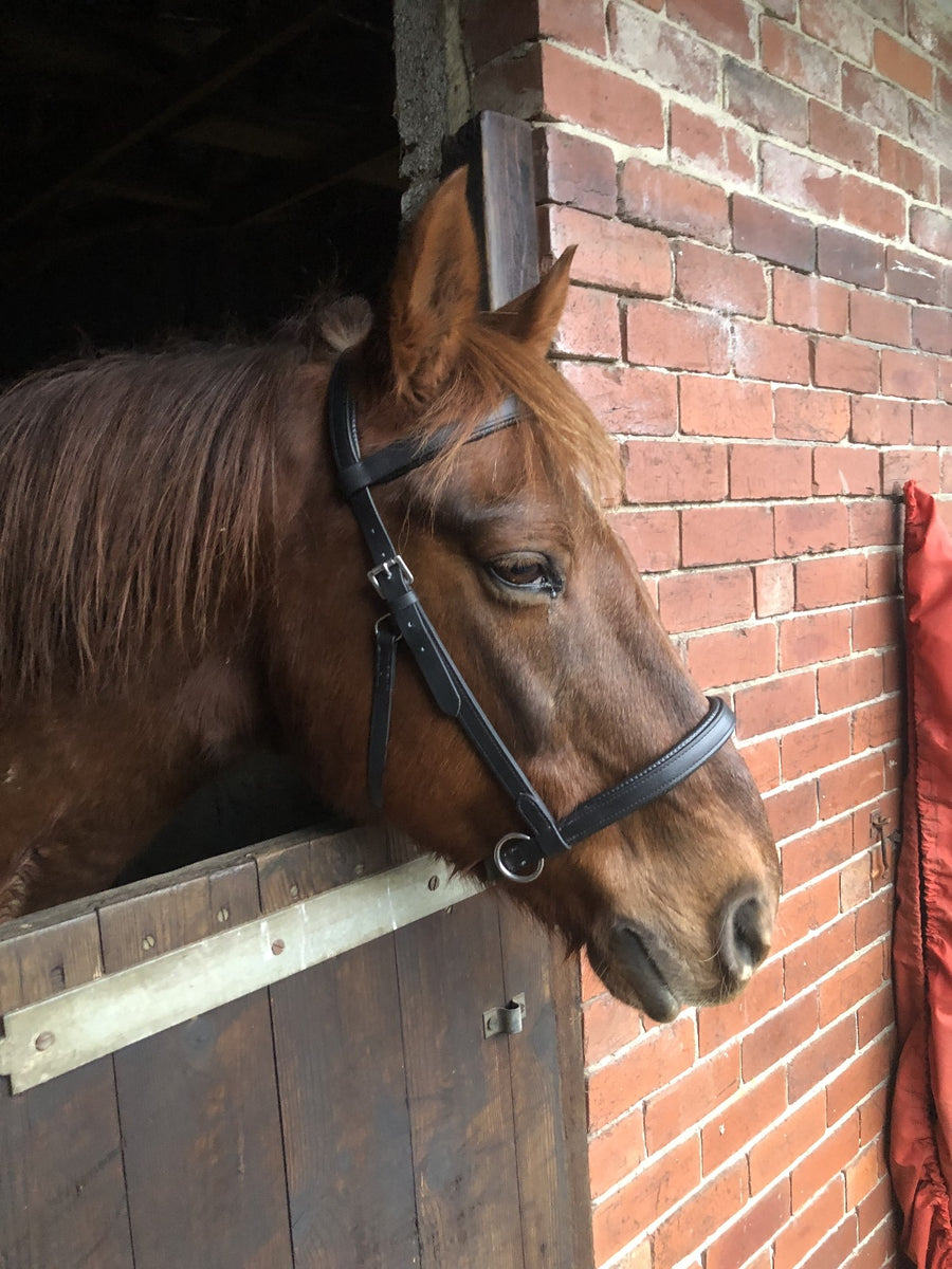 Bio-synthetic sidepull Bridle - Build your own! – PracticalHorseCompany