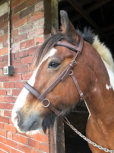 Bio-synthetic sidepull Bridle - Build your own!