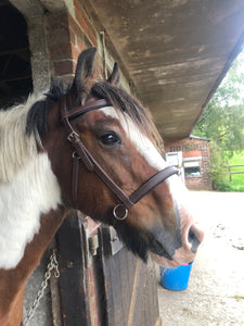 Bio-Synthetic Bitless Sidepull Bridle