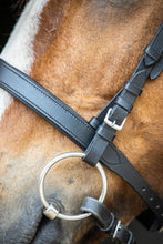 Anatomical Cavesson Bridle Practical Horse Company
