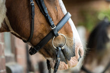 Anatomical Cavesson Bridle Practical Horse Company
