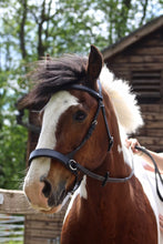 Browband - For Bitless Bridle