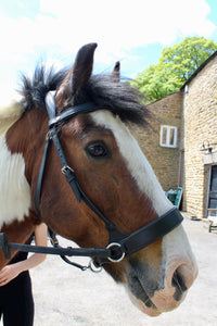 Bitless Bridle - Build your own!