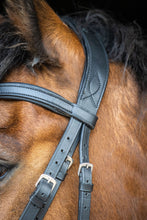 Anatomical Bridle - Build your own!